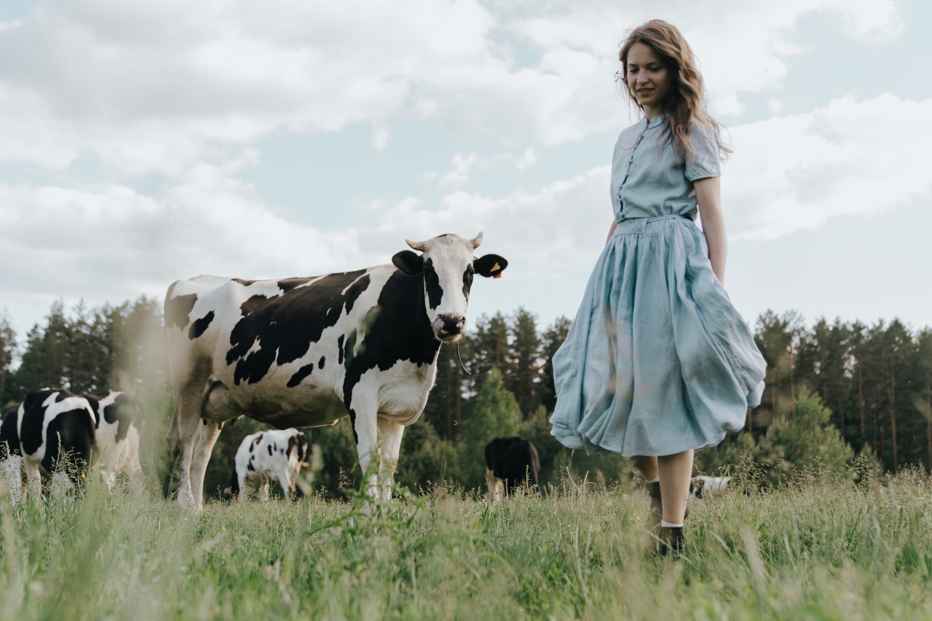 woman in blue dress standing beside cow on green grass field